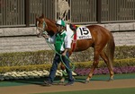 IMGP2649srt550a.jpg