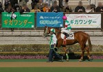 IMGP2698srt550a.jpg