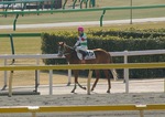 IMGP2745sprt550a.jpg
