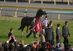IMGP3104srt600a.jpg