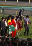 IMGP3106srt600.jpg