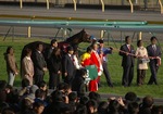 IMGP3113srt600a.jpg
