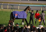 IMGP3118srt600a.jpg