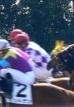 P1010156psrtt.jpg